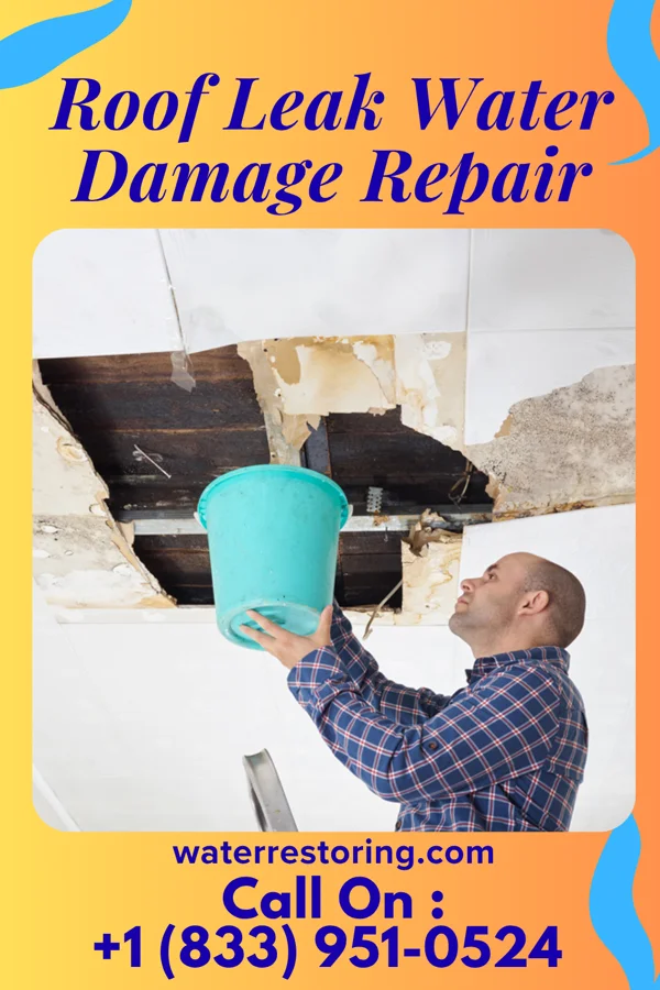 Roof Leak Water Damage Repair in Mesa del Caballo, AZ