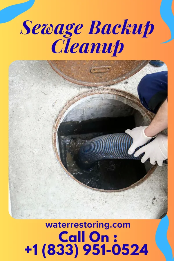 Sewage Backup Cleanup in Mesa del Caballo, AZ